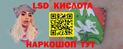 прущие грибы Гусиноозёрск
