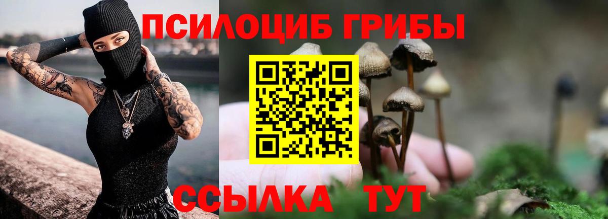 Псилоцибиновые грибы мицелий  Вход с VPN  Евпатория 